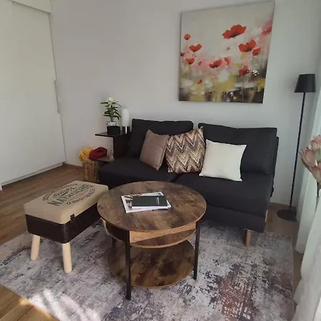 Ari's Domizil - Tiny House Im Dachboden - 2 Apartamento Bregenz