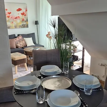 Ari's Domizil - Tiny House Im Dachboden - 2 * Bregenz